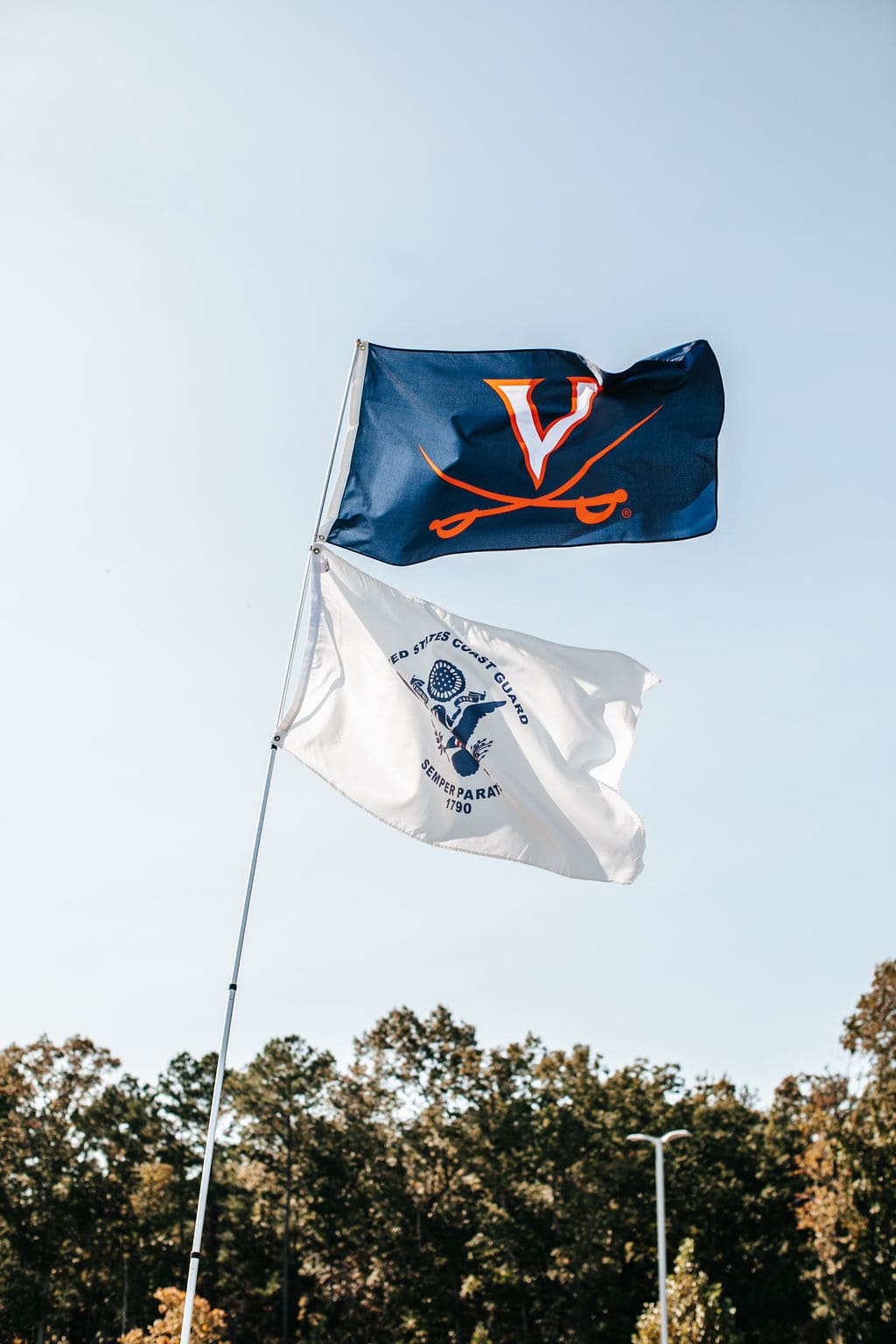 university of virginia flag